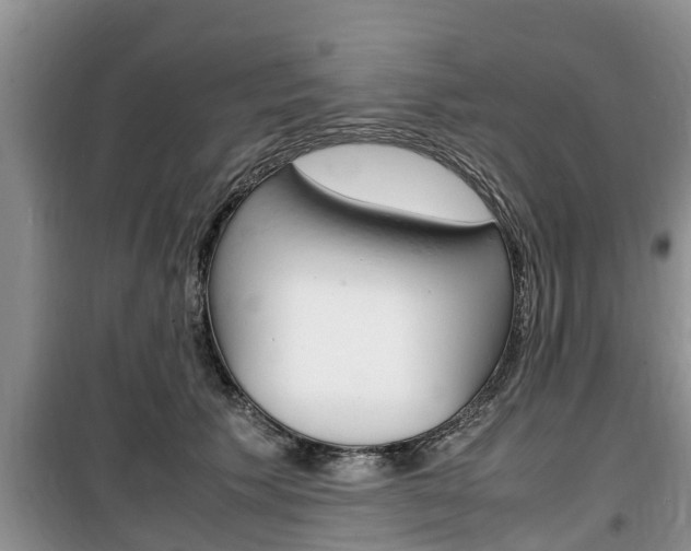 X0000100190609200805300726