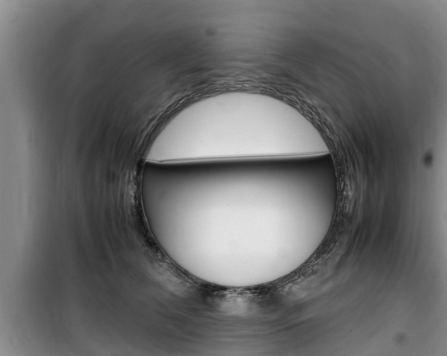 X0000100190612200805300726