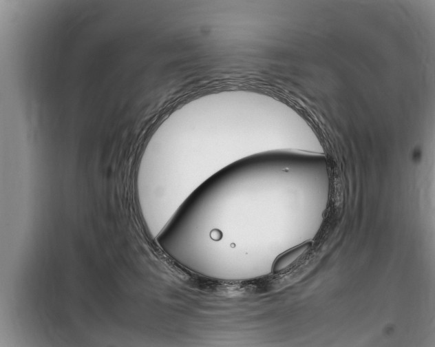 X0000100190613200805300726