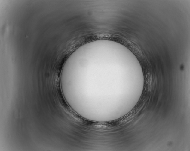 X0000100190614200805300726