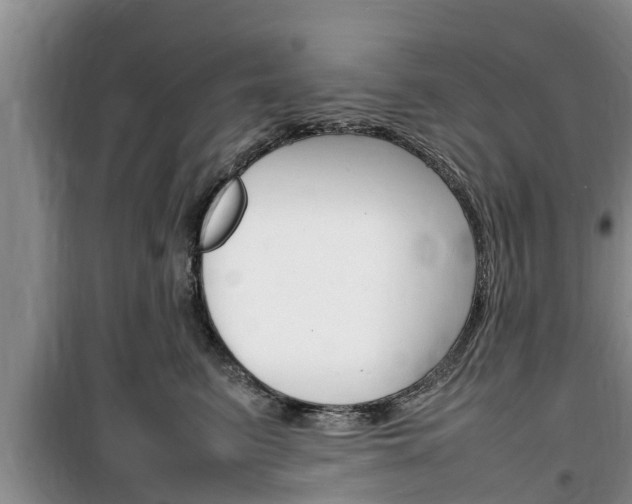 X0000100190615200805300726
