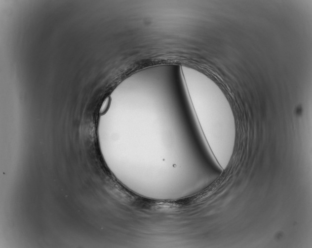 X0000100190617200805300726