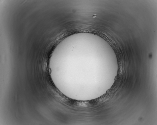 X0000100190618200805300726