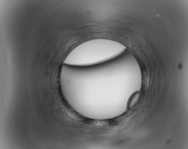 X0000100190619200805300726