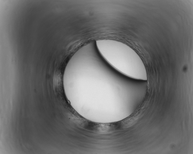 X0000100190623200805300726