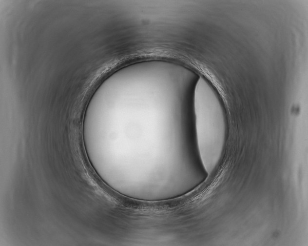 X0000100190625200805300725
