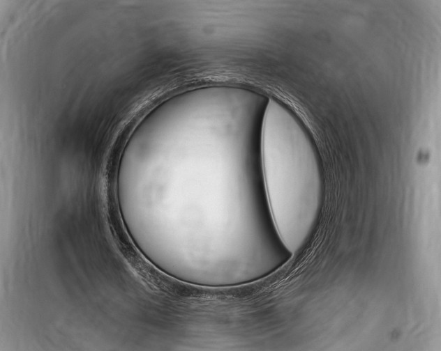 X0000100190626200805300725