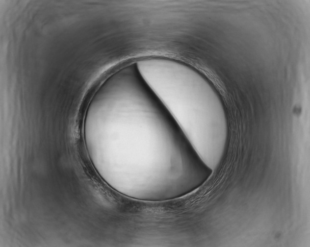 X0000100190628200805300725