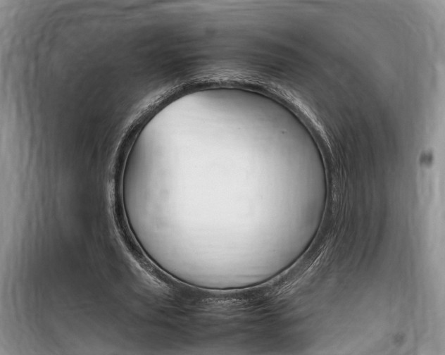 X0000100190629200805300725