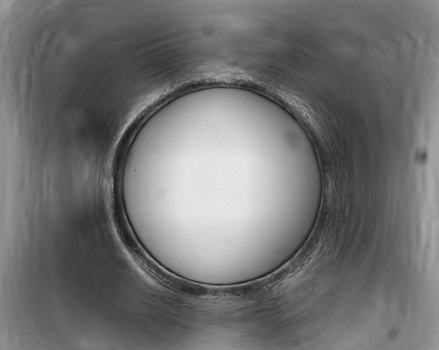 X0000100190630200805300725