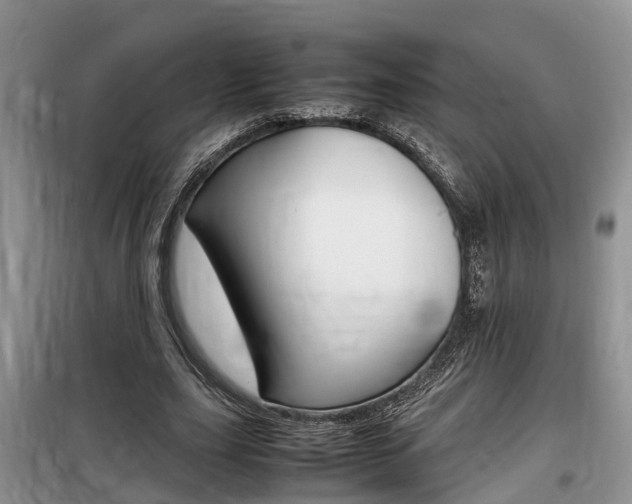 X0000100190631200805300725