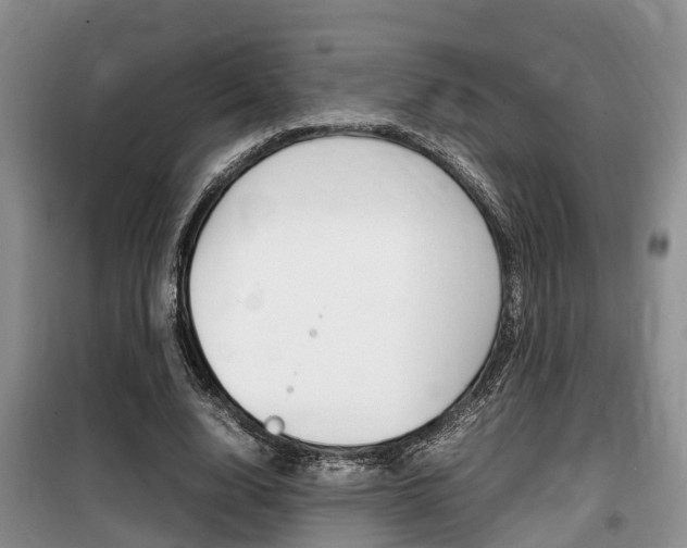 X0000100190632200805300725