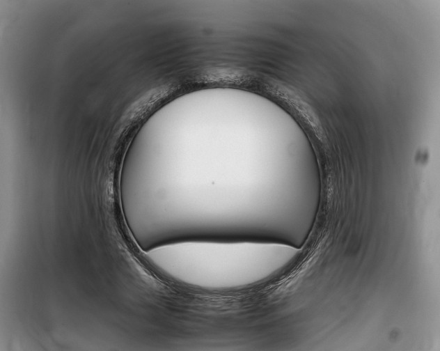 X0000100190633200805300725