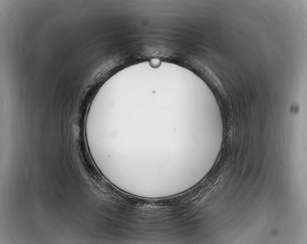 X0000100190635200805300725