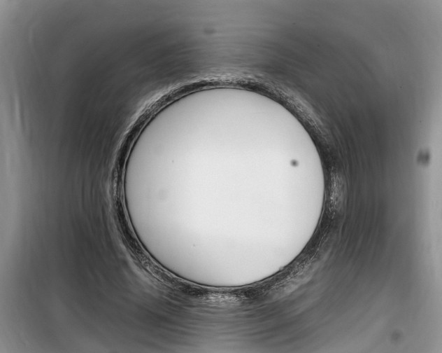 X0000100190636200805300725