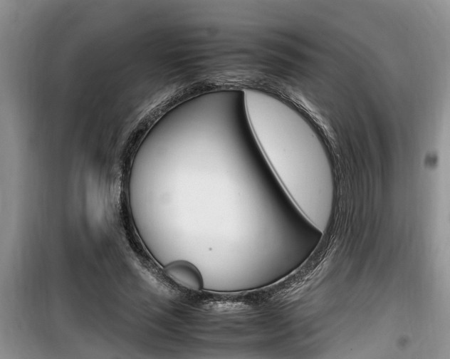 X0000100190637200805300725