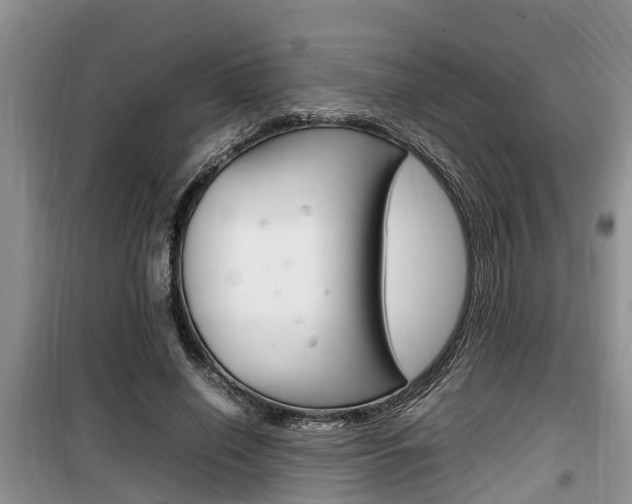 X0000100190638200805300725
