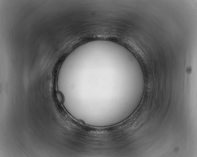 X0000100190639200805300725