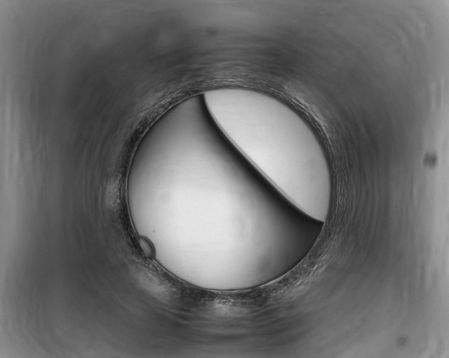X0000100190641200805300725