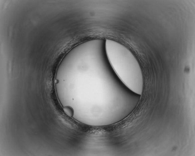 X0000100190642200805300725