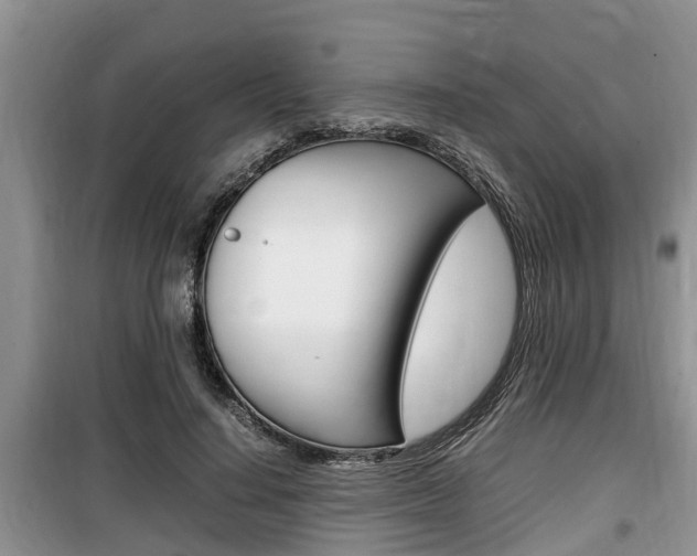 X0000100190644200805300725