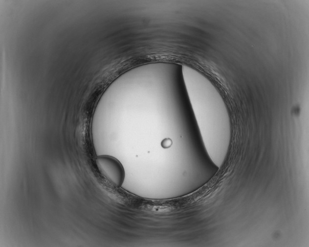 X0000100190645200805300725