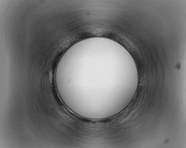 X0000100190646200805300725