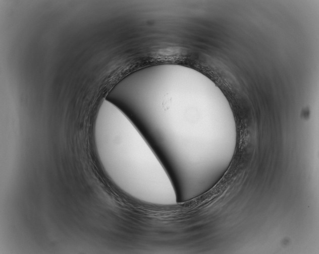 X0000100190647200805300725