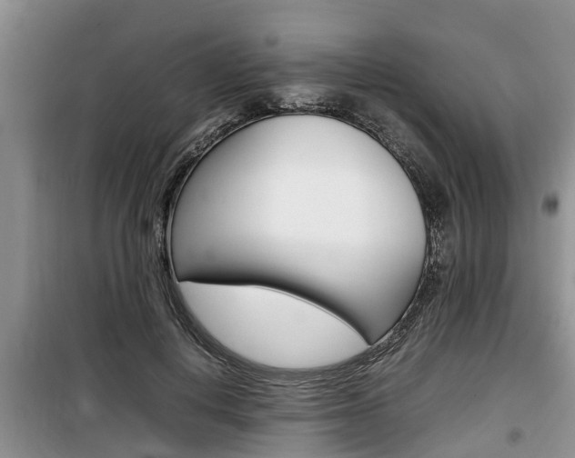 X0000100190648200805300725
