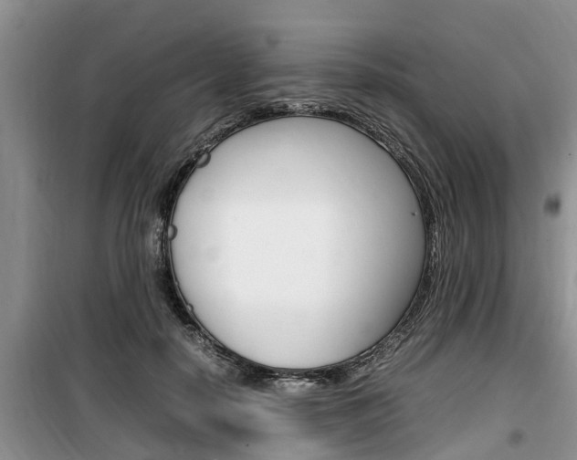 X0000100190650200805300725
