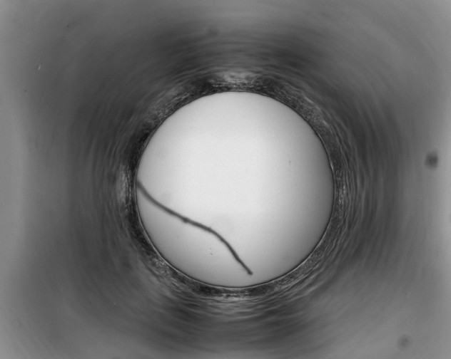 X0000100190651200805300725