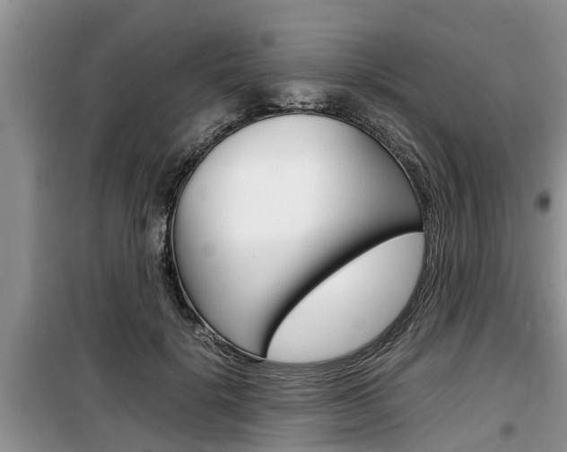 X0000100190652200805300725