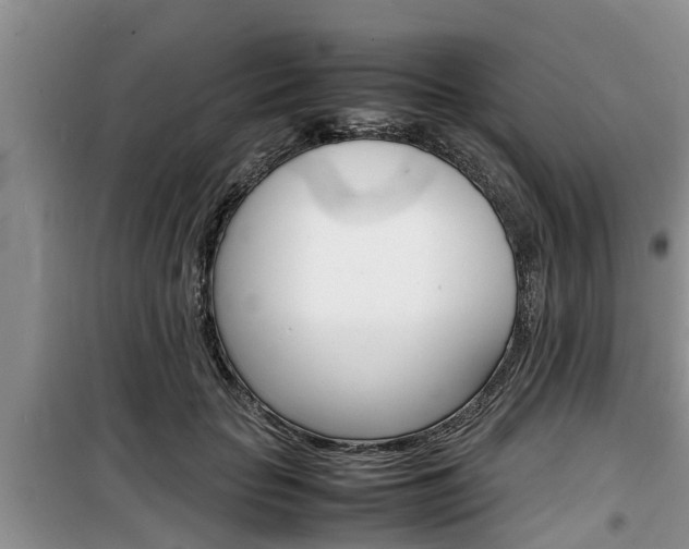 X0000100190653200805300725