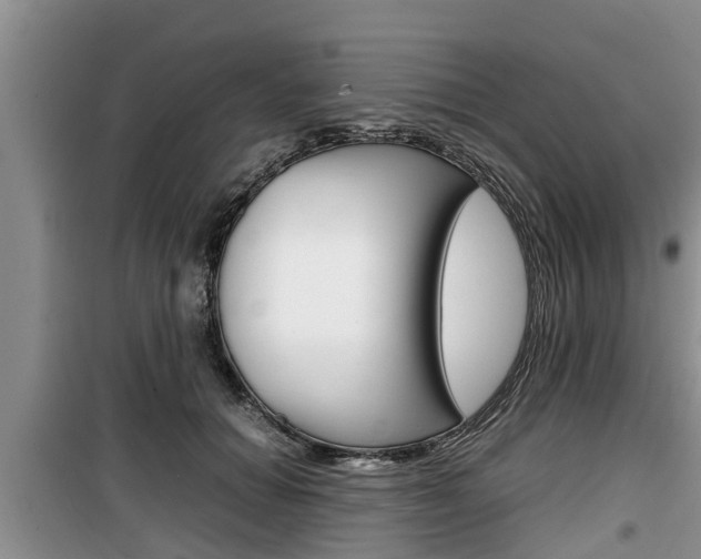 X0000100190654200805300725