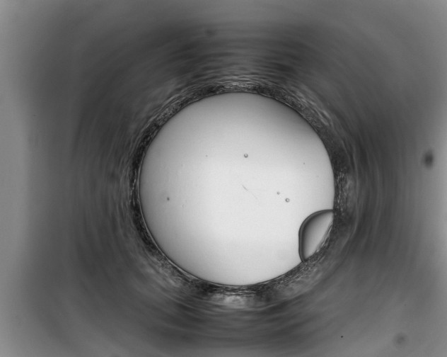 X0000100190655200805300726