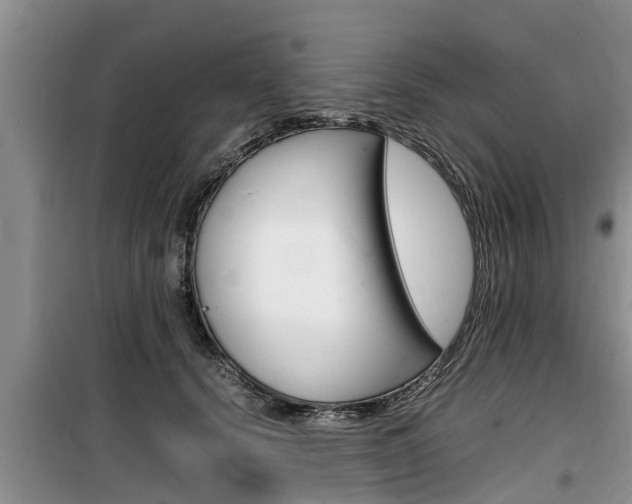 X0000100190656200805300726