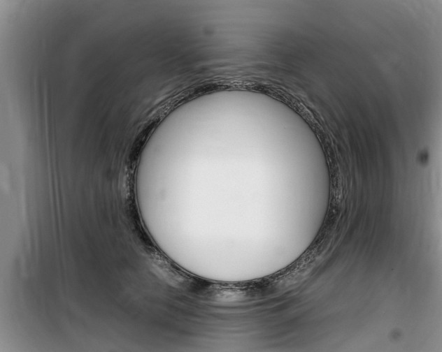 X0000100190658200805300726