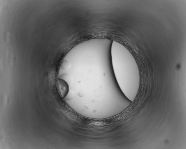 X0000100190659200805300726