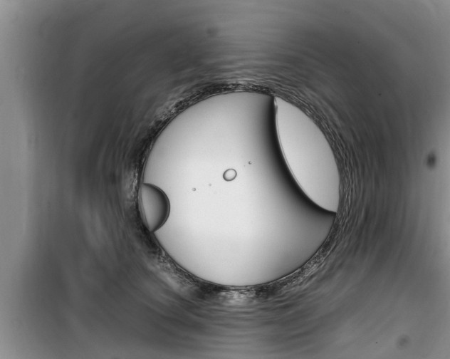 X0000100190660200805300726