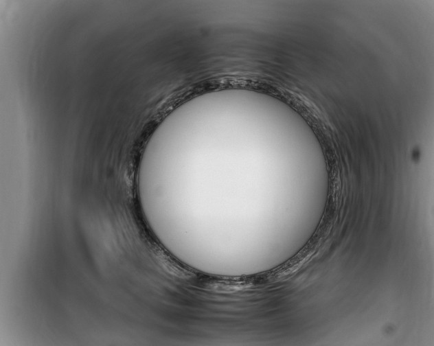 X0000100190661200805300726