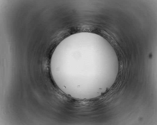 X0000100190663200805300726