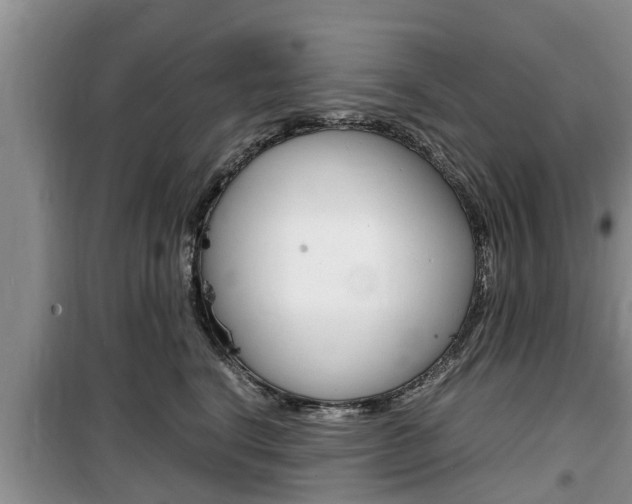 X0000100190664200805300726