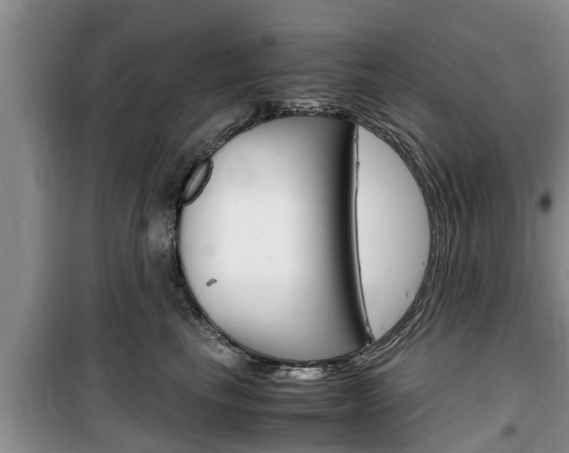 X0000100190665200805300726