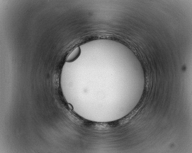 X0000100190666200805300726