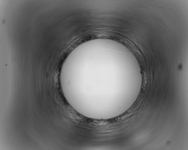 X0000100190667200805300726