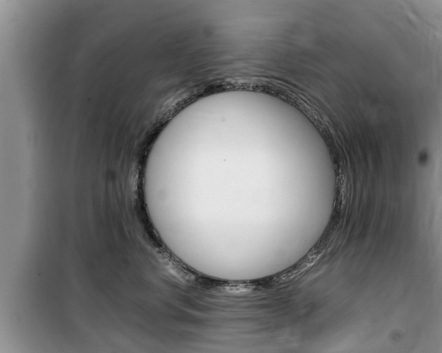 X0000100190668200805300726