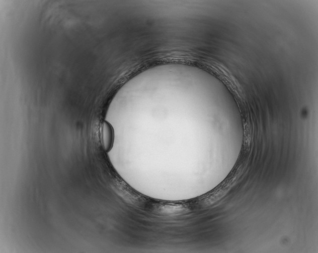 X0000100190669200805300726