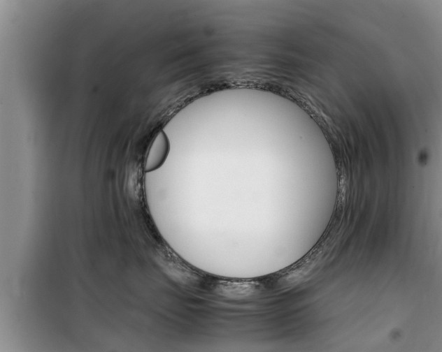 X0000100190671200805300726