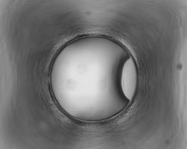 X0000100190673200805300725