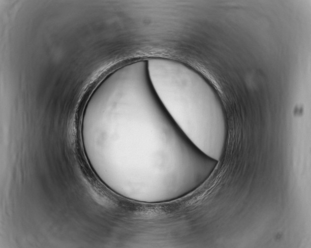 X0000100190674200805300725